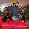 Int. Dog-Show-Winner & Grand National-Champion 2021